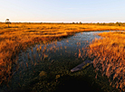 Yelnya reserve in autumn