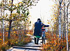 Yelnya reserve in autumn