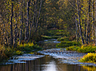 Yelnya reserve in autumn