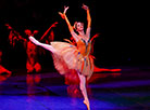 The Little Humpbacked Horse ballet at Belarus' Bolshoi Theater