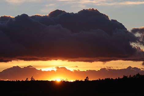 Sunrise in Gomel District