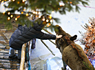 Minsk shopping centers get decorated for Christmas