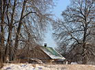 Начало зимы в Берестовицком районе