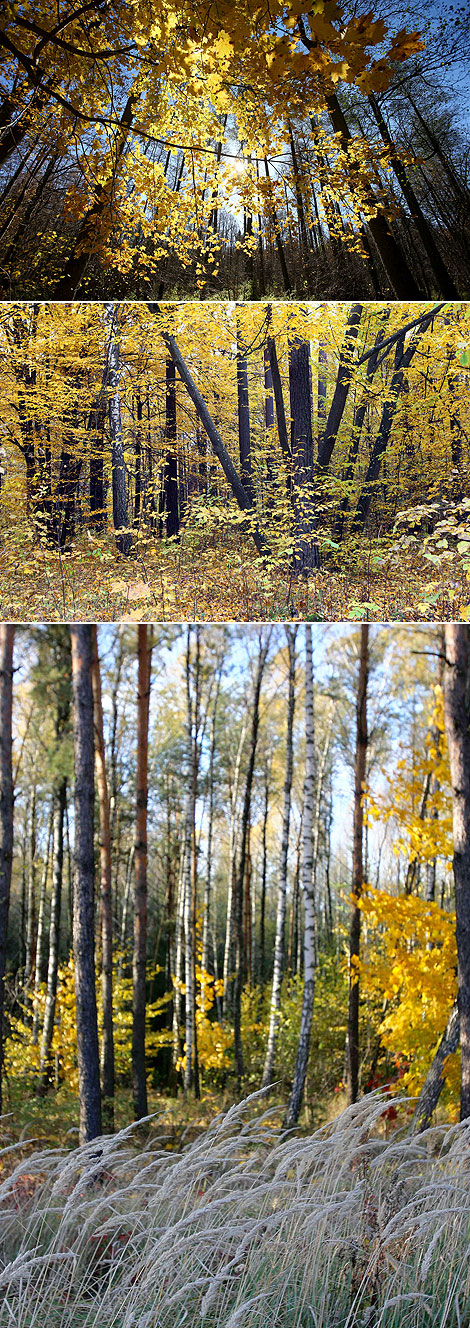 Восень у Беларусі