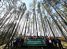 白罗斯运动员参加“森林周”活动