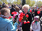 Victory Lilacs Alley in Grodno