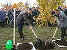 Oak is planted in Grodno to mark UN 70th anniversary