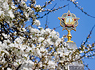 Весна в Минске 