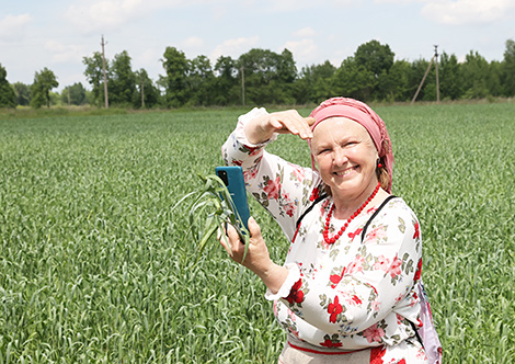 Абрад 