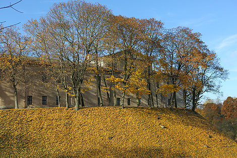 Old Castle in Grodno 