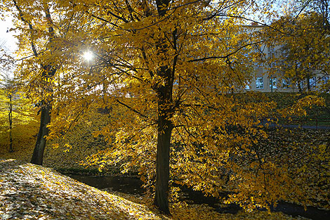 Autumn in Grodno 