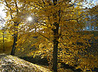Autumn in Grodno 