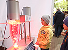 Science Festival in the Botanical Garden
