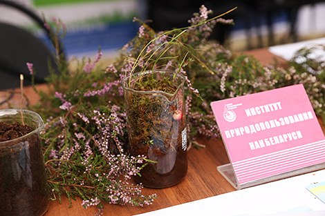 Science Festival 2022 in Minsk