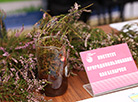 Science Festival 2022 in Minsk