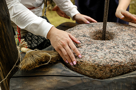 Inclusive exhibition project at National History Museum