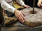 Inclusive exhibition project at National History Museum
