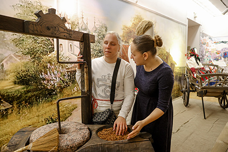Inclusive exhibition project at National History Museum
