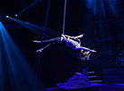 New circus program in Minsk