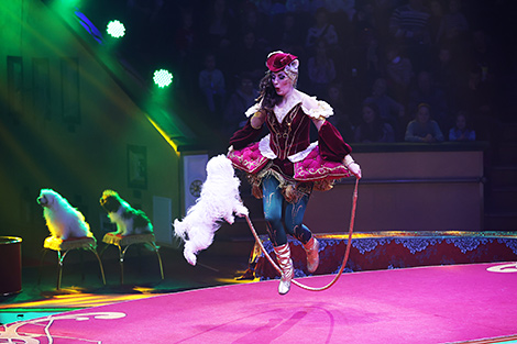 New circus show in Minsk