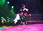 New circus show in Minsk