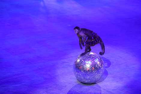 New circus show in Minsk