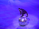 New circus show in Minsk