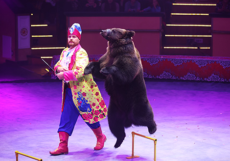 New circus show in Minsk