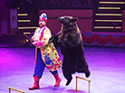 New circus show in Minsk