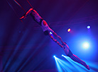 New circus show in Minsk