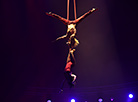 New circus show in Minsk