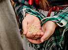 Bagach harvest festival near Minsk