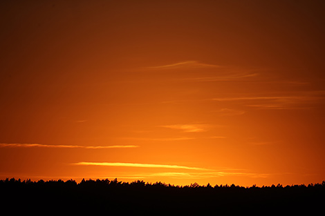 Sunrise in Belovezhskaya Pushcha