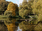 Autumn in the Kupala Memorial Reserve Vyazynka