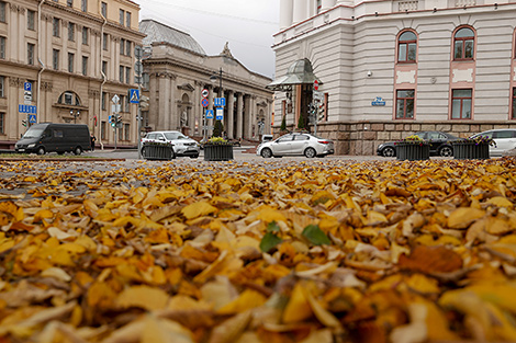 ‘Golden’ autumn in Minsk 