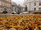‘Golden’ autumn in Minsk 