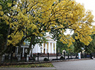 October sunny day in Gomel park