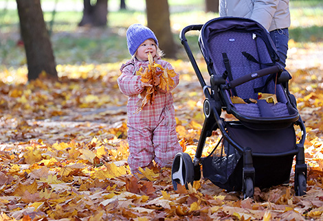 October sunny day in Gomel park