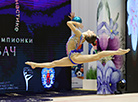 Marina Lobach Rhythmic Gymnastics Tournament