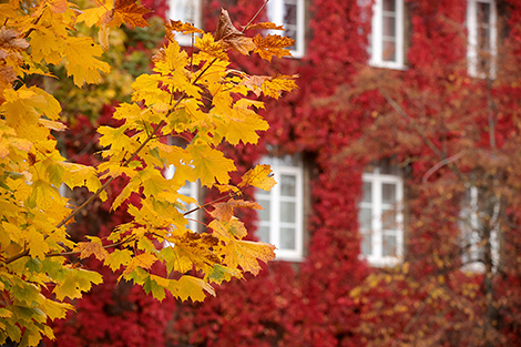 Autumn in Grodno