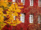 Autumn in Grodno