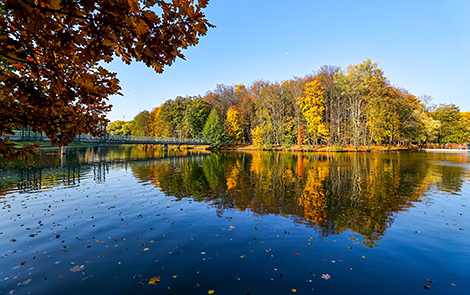 Golden autumn in Minsk