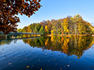 Golden autumn in Minsk