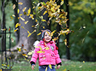 Autumn in Gomel park