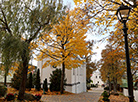 Zhirovichi Holy Dormition Monastery