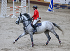 Show jumping competition for Denis Davydov Cup in Ratomka