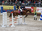 Show jumping competition for Denis Davydov Cup in Ratomka