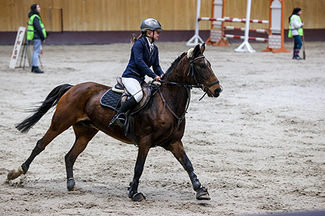 Show jumping competition for Denis Davydov Cup in Ratomka