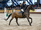 Show jumping competition for Denis Davydov Cup in Ratomka