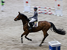 Show jumping competition for Denis Davydov Cup in Ratomka